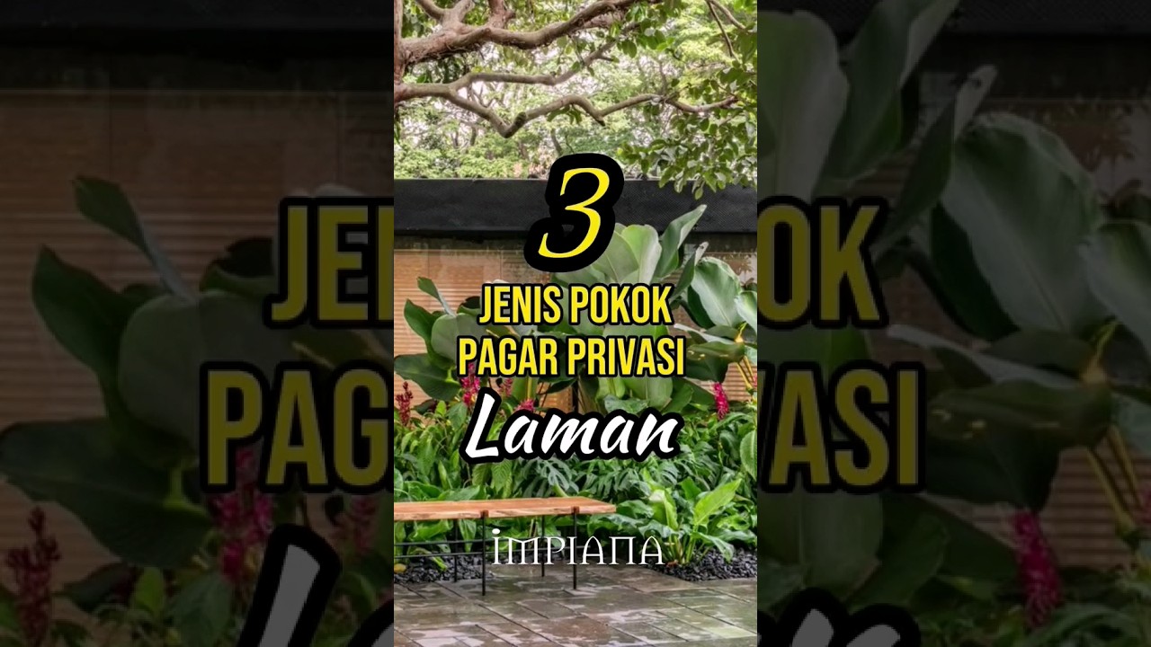 3 Jenis Pokok Pagar Privasi Laman