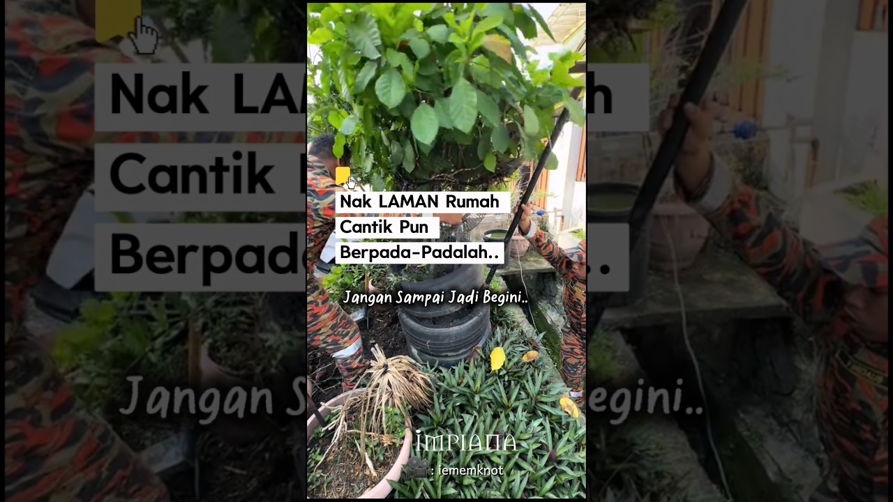 Nak Laman Rumah Cantik Pun Berpada-Padalah.. Jangan Sampai Jadi Begini