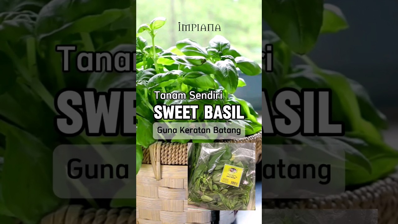 Cara Mudah Tanam Sendiri Pokok 