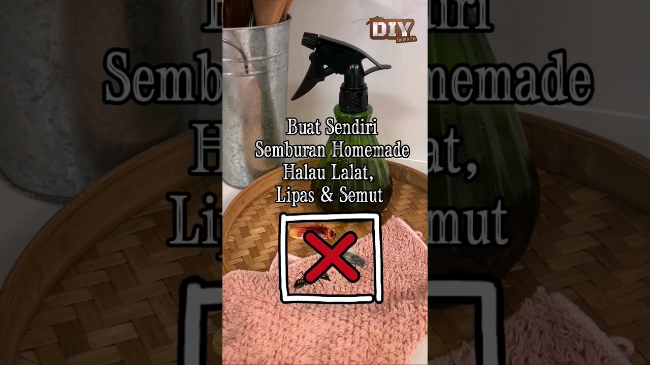 Buat Sendiri Semburan Homemade Halau Lalat, Lipas & Semut 