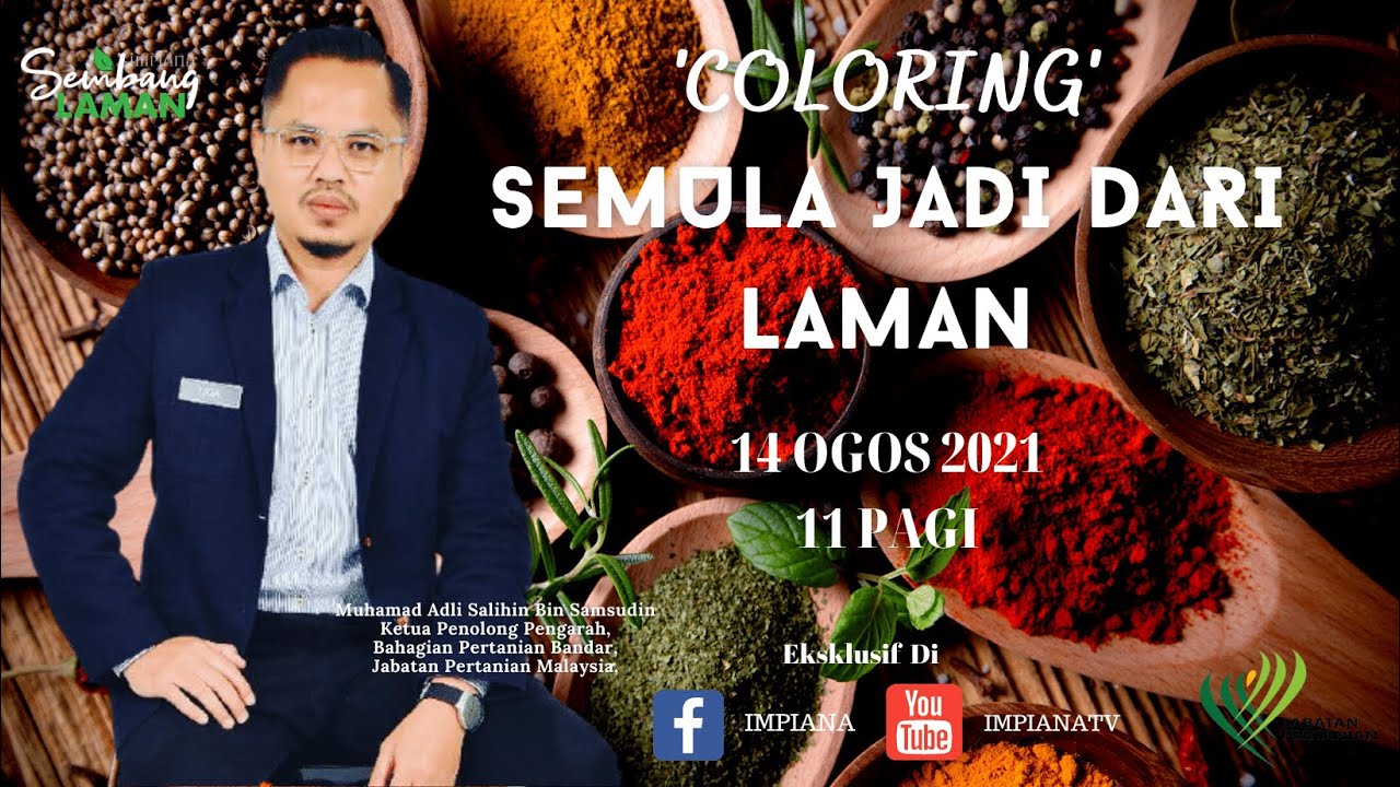 COLORING SEMULA JADI DI LAMAN KITA