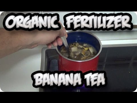 Banana Tea - Organic Potassium Fertilizer || Toni's Organic Vegetable Garden