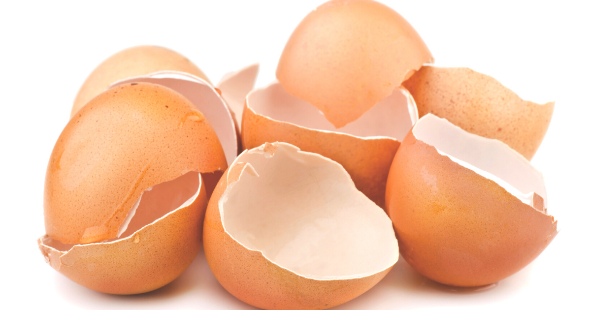 Jangan Buang Dulu! 4 Kegunaan Kulit Telur Yang Mungkin Anda Tidak Tahu