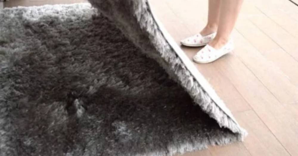 Teknik Betul Bersihkan Shag Rug Atau Karpet Berbenang Panjang Seminggu Sekali
