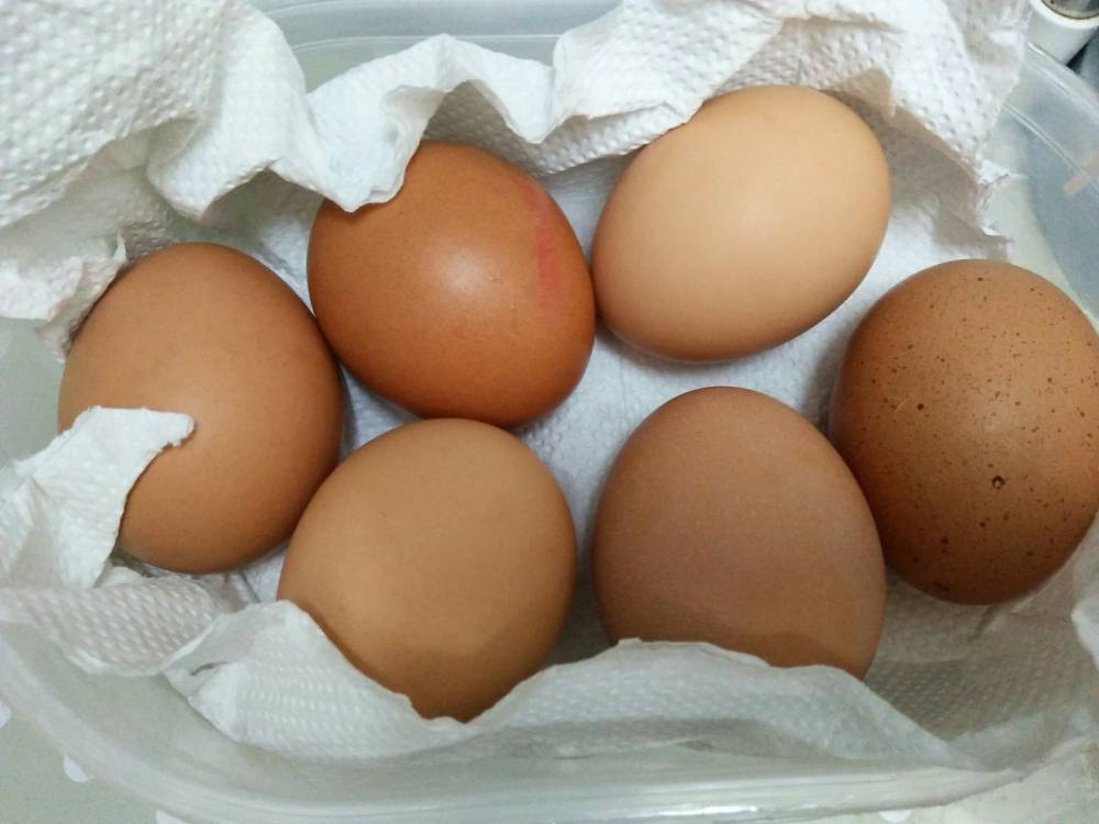 Simpan Telur Dalam Beras Macam Ni Tahan Lebih Lama Dari Tarikh &#8220;Expired&#8221;