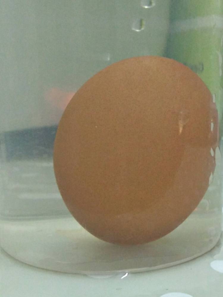 Simpan Telur Dalam Beras Macam Ni Tahan Lebih Lama Dari Tarikh &#8220;Expired&#8221;