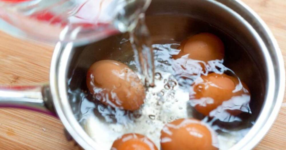 Air rebusan Telur, Pasta Dan Sayur Jangan Buang, Boleh Jadi Booster Tanaman