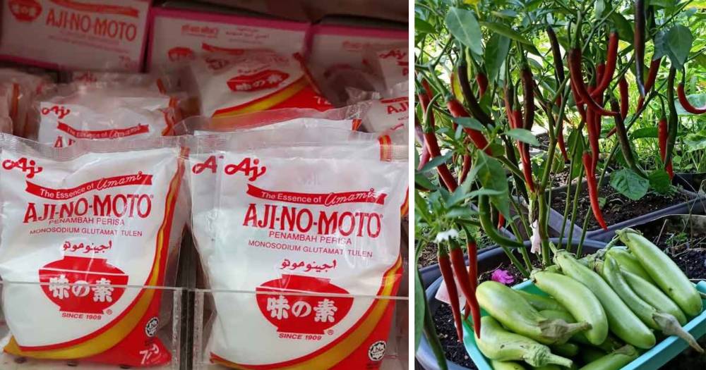 Resepi Baja Terbaik Dari Ajinomoto Untuk Hasil Optimum